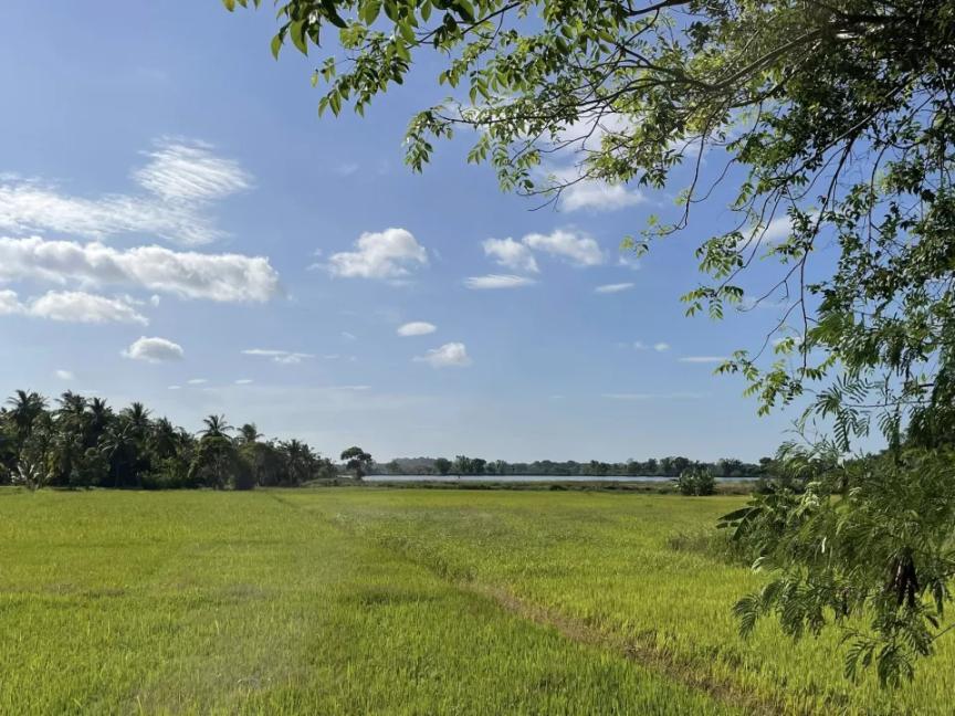 スリランカ ホームステイ ボランティア | 2026スタディツアー説明会